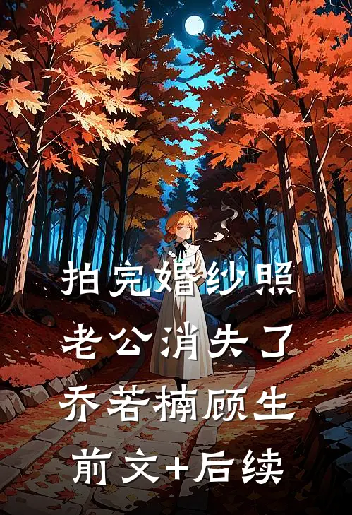 拍完婚纱照，老公消失了乔若楠顾生前文+后续