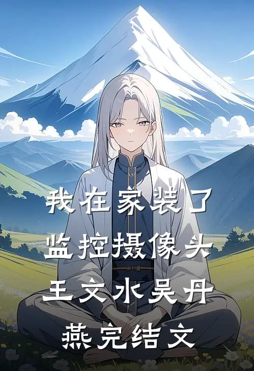 我在家装了监控摄像头王文水吴丹燕完结文