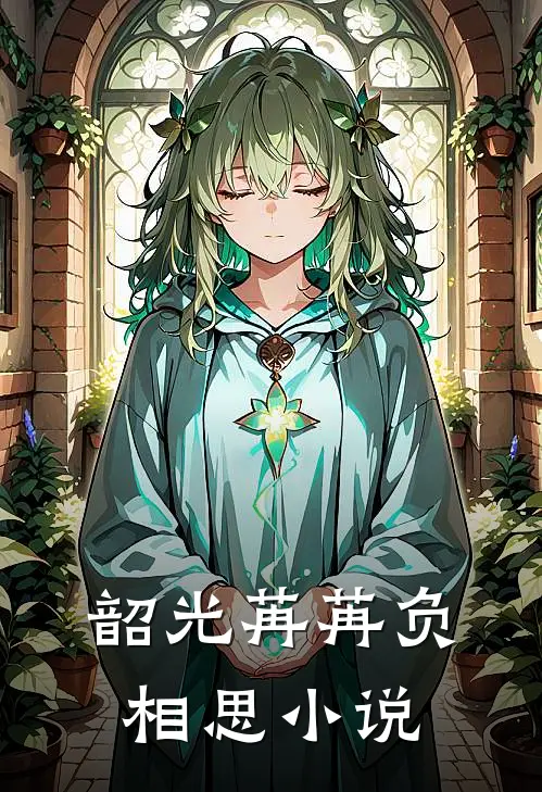 韶光苒苒负相思小说