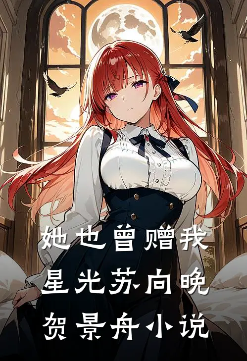 她也曾赠我星光苏向晚贺景舟小说