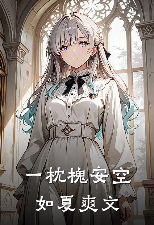 一枕槐安空如夏爽文