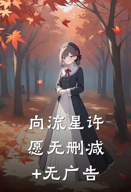 《向流星许愿》无删减+无广告