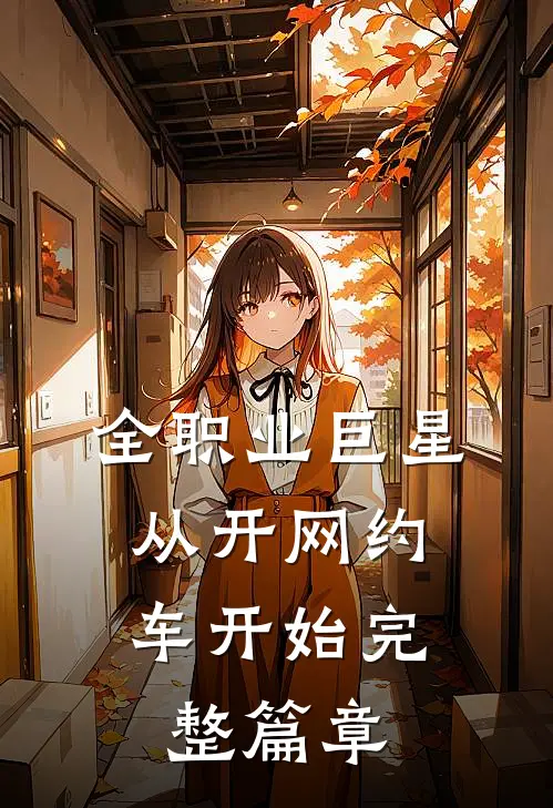 全职业巨星：从开网约车开始完整篇章