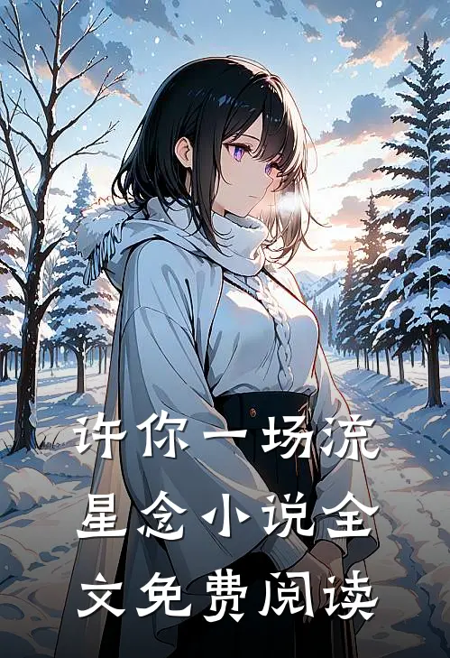 许你一场流星念小说全文免费阅读