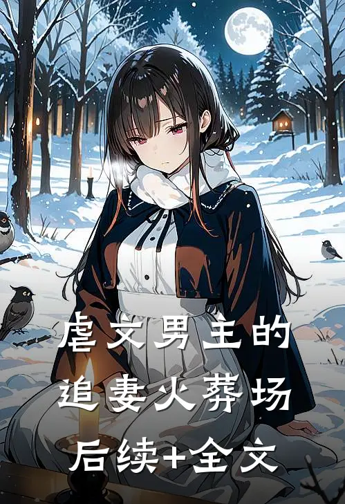 虐文男主的追妻火葬场后续+全文