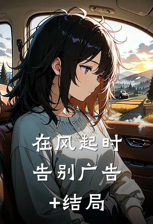 在风起时告别广告+结局