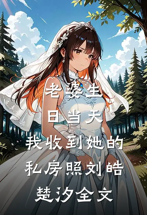 老婆生日当天，我收到她的私房照刘皓楚汐全文