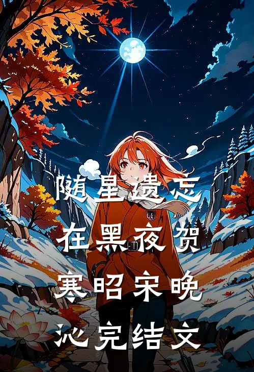 随星遗忘在黑夜贺寒昭宋晚沁完结文