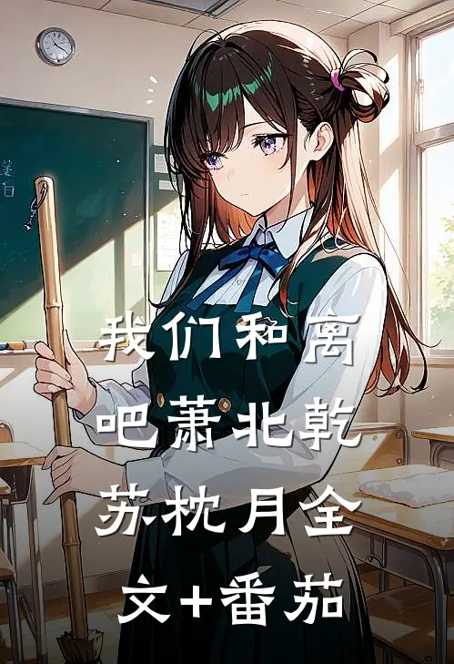 我们和离吧萧北乾苏枕月全文+番茄