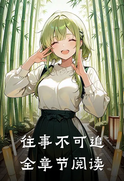 往事不可追全章节阅读
