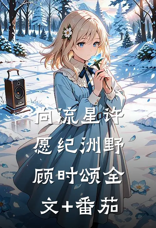 《向流星许愿》纪洲野顾时颂全文+番茄
