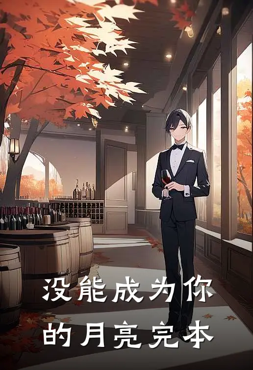 没能成为你的月亮完本