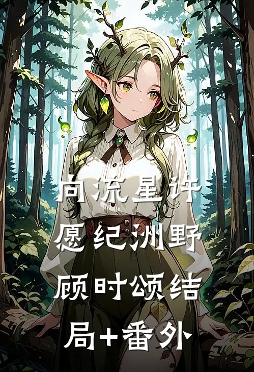 《向流星许愿》纪洲野顾时颂结局+番外