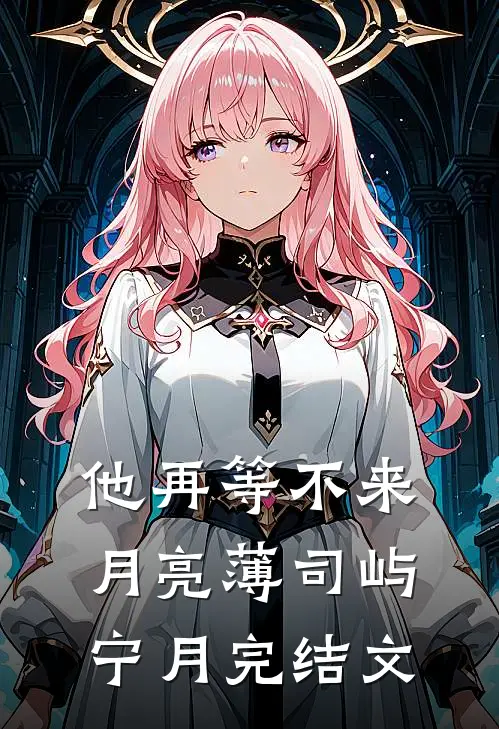 他再等不来月亮薄司屿宁月完结文