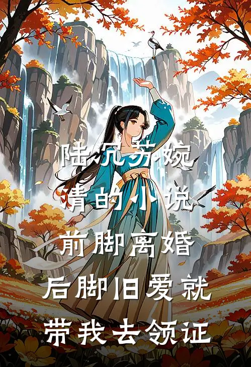 陆沉苏婉清的小说前脚离婚，后脚旧爱就带我去领证
