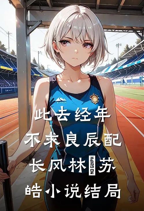 此去经年：不求良辰配长风林玥苏皓小说结局