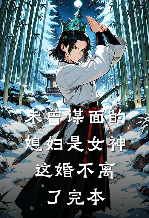 未曾谋面的媳妇是女神，这婚不离了完本