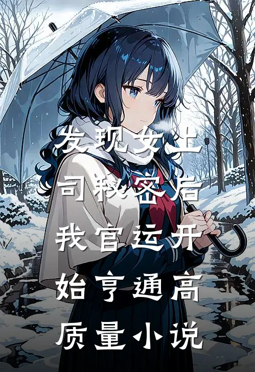 发现女上司秘密后，我官运开始亨通高质量小说