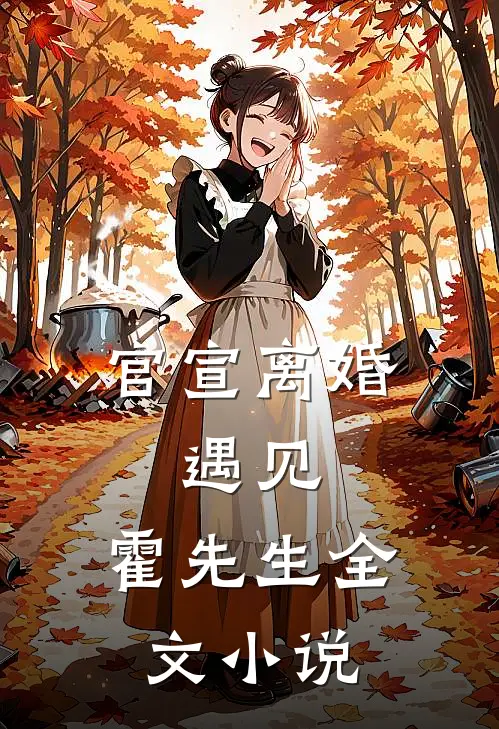 官宣离婚：遇见，霍先生全文小说