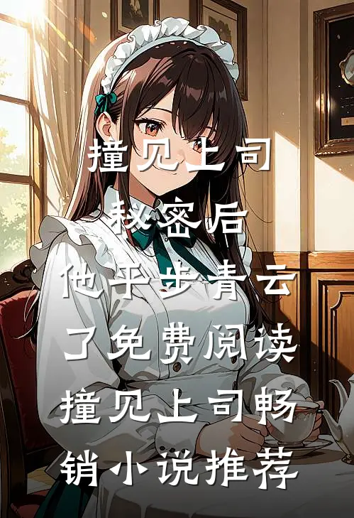 撞见上司秘密后,他平步青云了免费阅读撞见上司畅销小说推荐