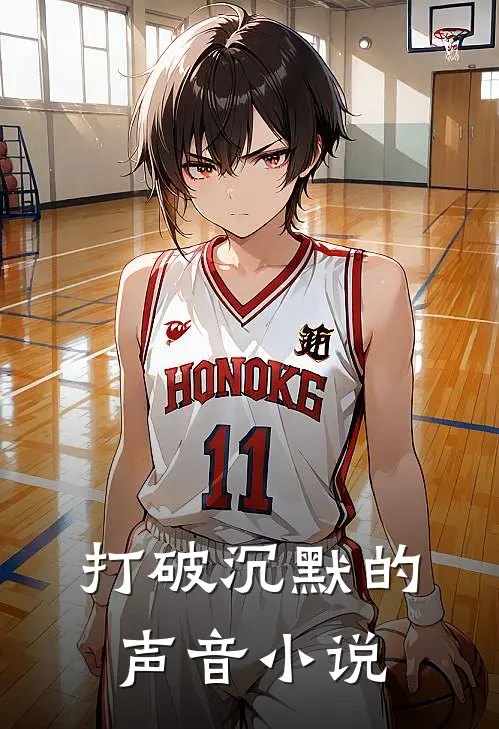 《打破沉默的声音》小说