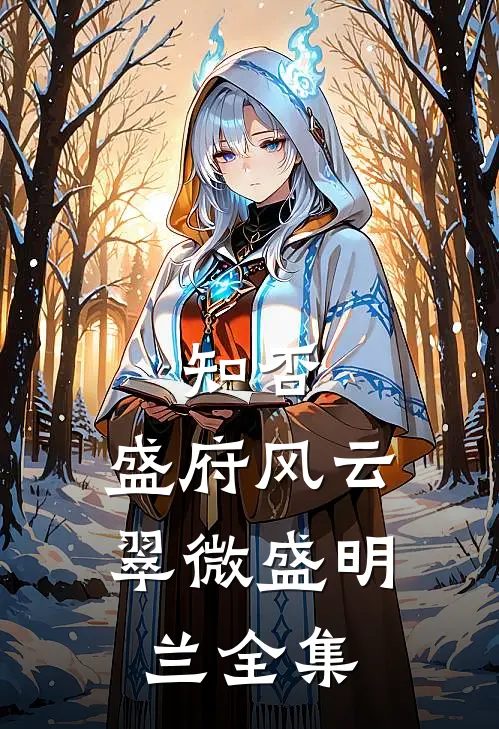知否：盛府风云翠微盛明兰 全集