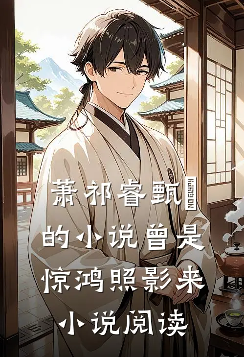 萧祁睿甄嬛的小说曾是惊鸿照影来小说阅读