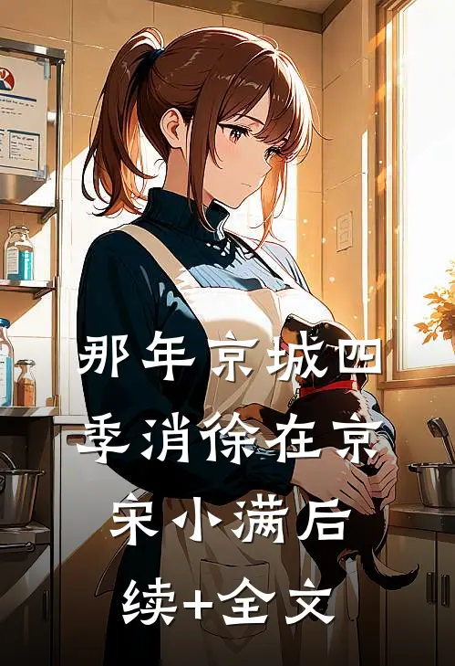 那年京城四季消徐在京宋小满后续+全文