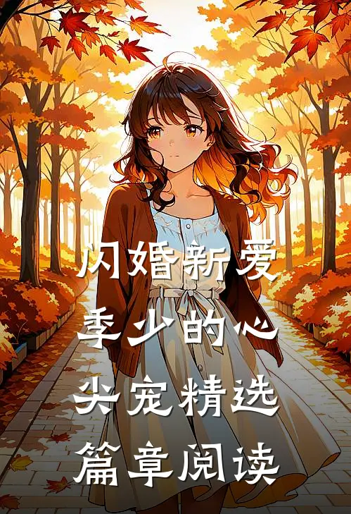 闪婚新爱：季少的心尖宠精选篇章阅读