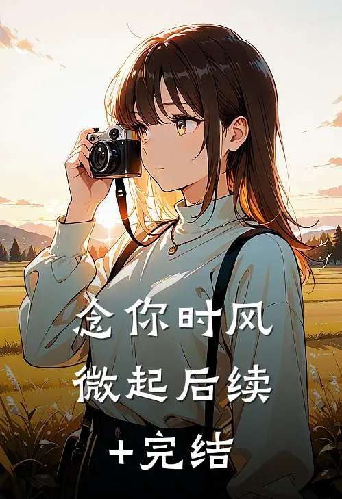 念你时风微起后续+完结