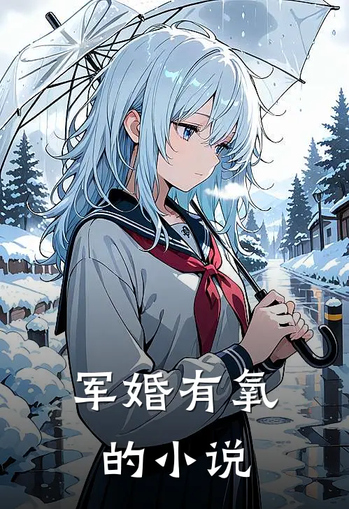 军婚有氧的小说
