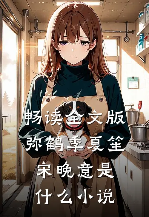 畅读全文版弥鹤季夏笙宋晚意是什么小说