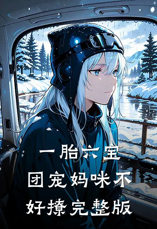 一胎六宝：团宠妈咪不好撩完整版