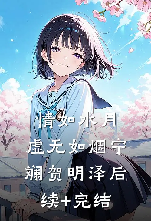 情如水月，虚无如烟宁斓贺明泽后续+完结