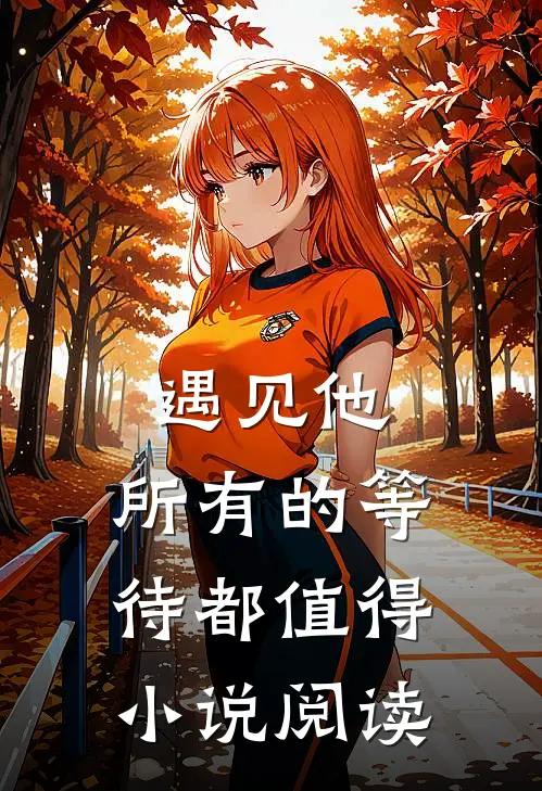 遇见他，所有的等待都值得小说阅读