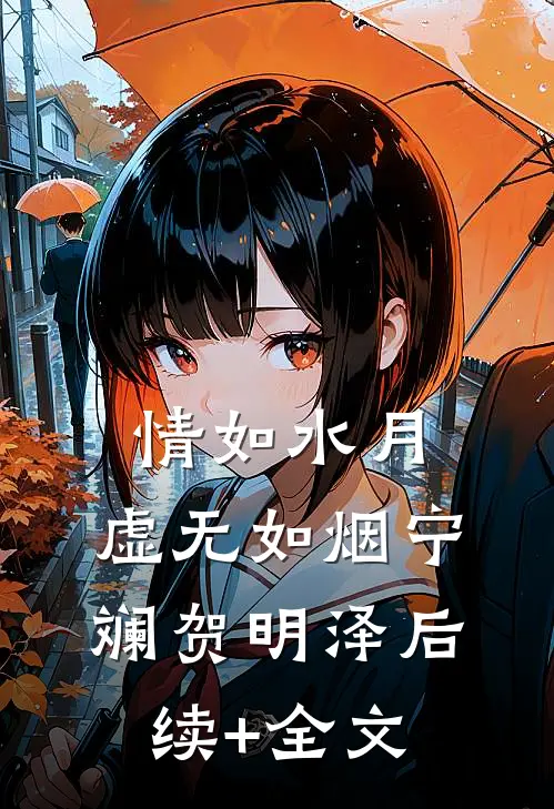 情如水月，虚无如烟宁斓贺明泽后续+全文