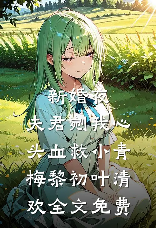 新婚夜，夫君剜我心头血救小青梅黎初叶清欢全文免费