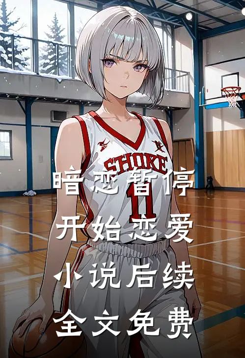 暗恋暂停，开始恋爱小说后续全文免费