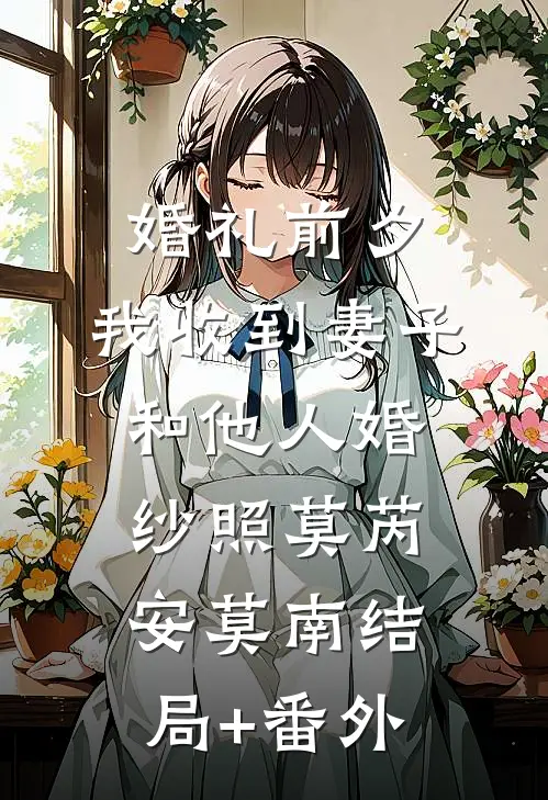 婚礼前夕，我收到妻子和他人婚纱照莫芮安莫南结局+番外