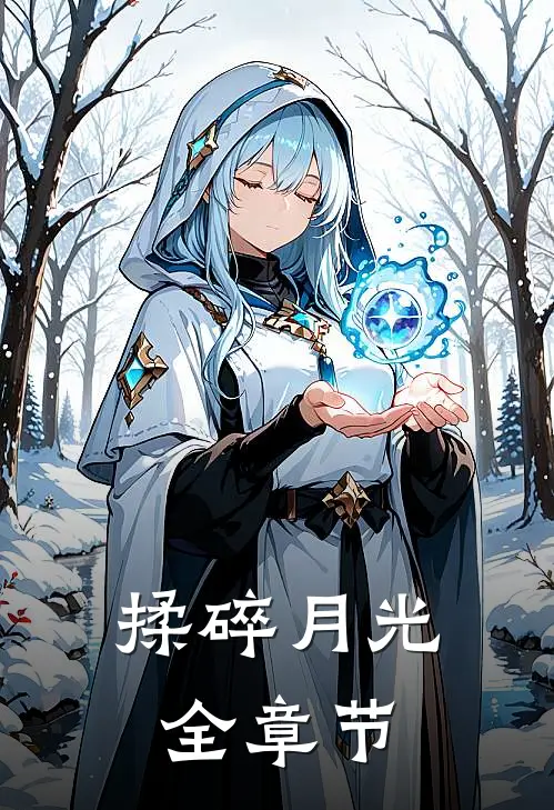 揉碎月光全章节