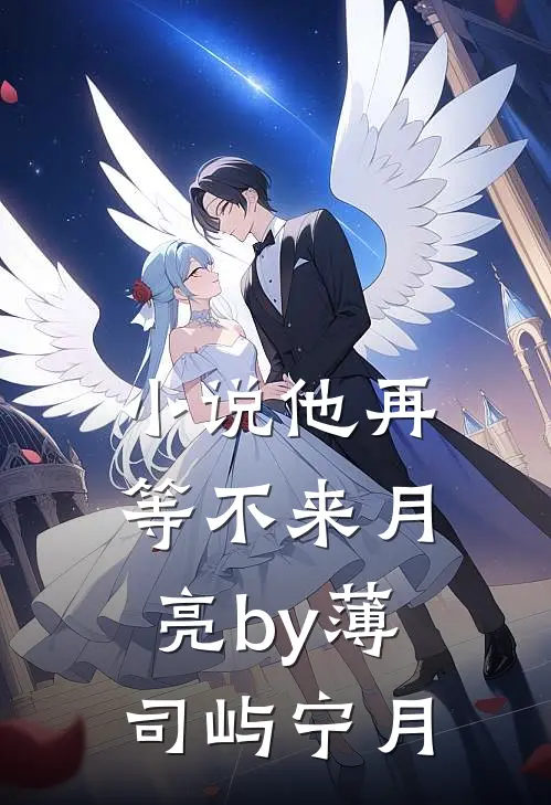 小说他再等不来月亮by薄司屿宁月