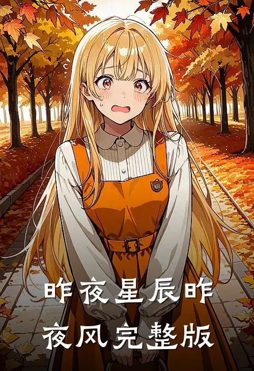 昨夜星辰昨夜风完整版