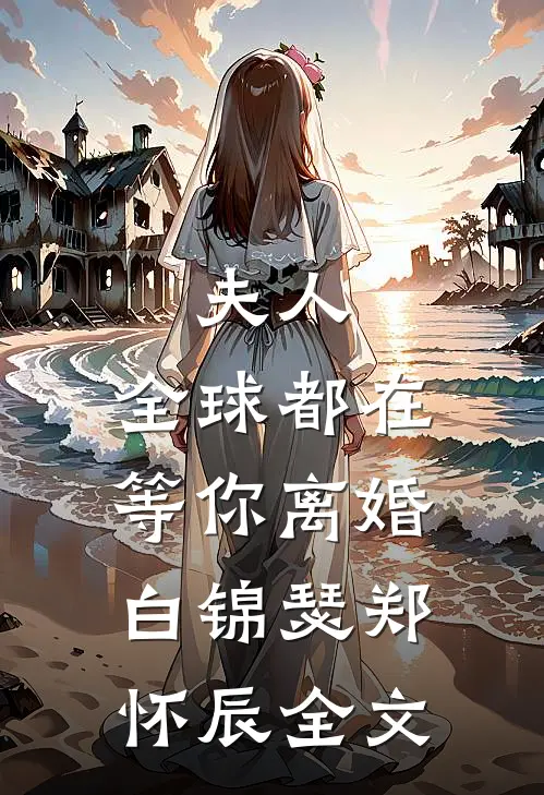 夫人，全球都在等你离婚白锦瑟郑怀辰全文