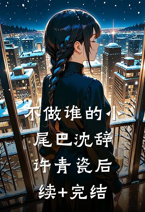 不做谁的小尾巴沈辞许青瓷后续+完结