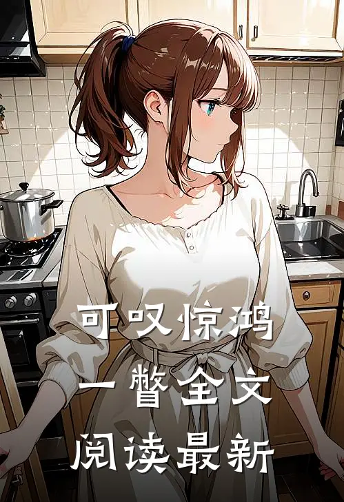 可叹惊鸿一瞥全文阅读最新