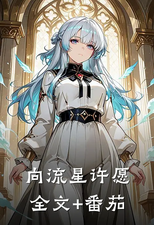 《向流星许愿》全文+番茄