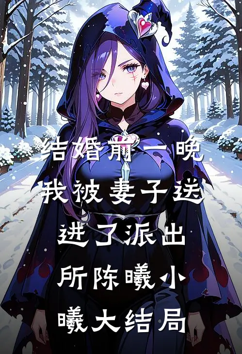 结婚前一晚我被妻子送进了派出所陈曦小曦大结局