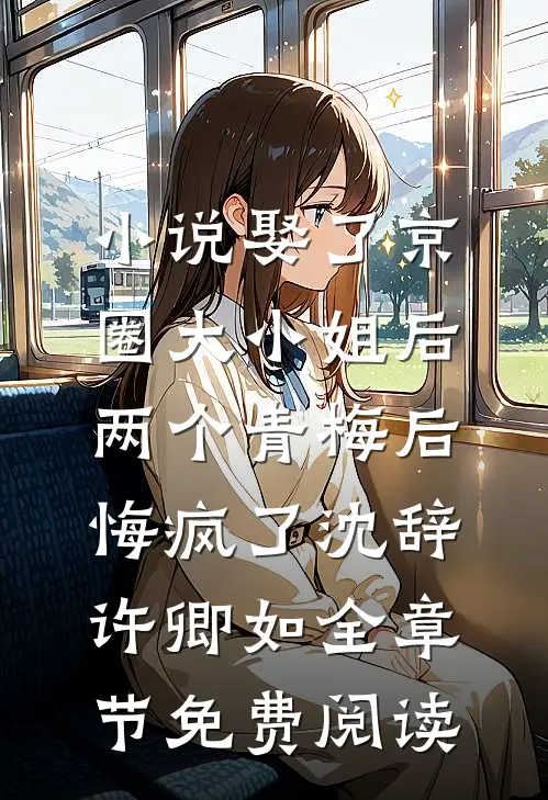 小说娶了京圈大小姐后，两个青梅后悔疯了沈辞许卿如全章节免费阅读