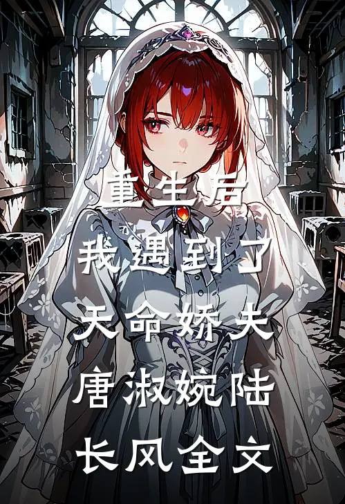 重生后，我遇到了天命娇夫唐淑婉陆长风全文