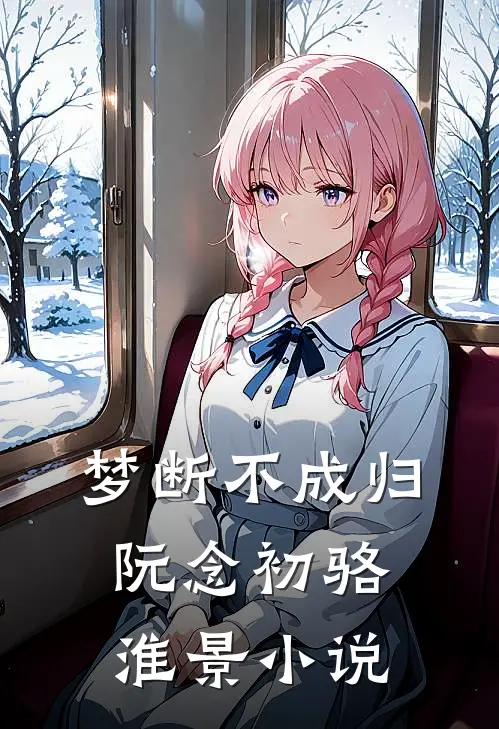 梦断不成归阮念初骆淮景小说